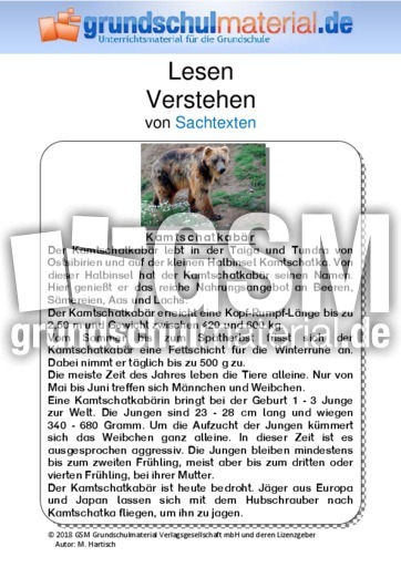 Kamtschatkabär - Sachtext.pdf
